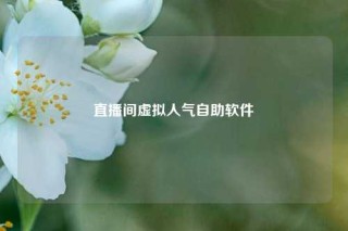 直播间虚拟人气自助软件
