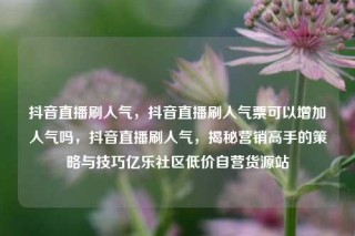 抖音直播刷人气，抖音直播刷人气票可以增加人气吗，抖音直播刷人气，揭秘营销高手的策略与技巧亿乐社区低价自营货源站