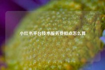 小红书平台技术服务费扣点怎么算