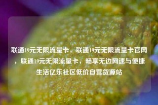 联通19元无限流量卡，联通19元无限流量卡官网，联通19元无限流量卡，畅享无边网速与便捷生活亿乐社区低价自营货源站