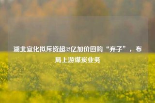 湖北宜化拟斥资超32亿加价回购“弃子”，布局上游煤炭业务