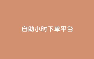 dy自助24小时下单平台 - DY自助24小时下单平台——一个让你随时随地下单的神奇平台~