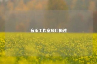 音乐工作室项目概述