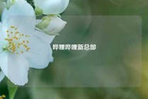 哔哩哔哩新总部