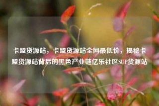 卡盟货源站，卡盟货源站全网最低价，揭秘卡盟货源站背后的黑色产业链亿乐社区SUP货源站