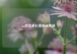 qq会员成长值查询系统