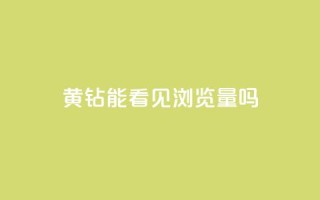 qq黄钻能看见浏览量吗,qq主题链接大全免费网站 - 1元涨100粉抖音 - ks直播业务平台怎么下