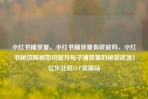 小红书播放量，小红书播放量有收益吗，小红书秘技揭秘如何提升帖子播放量的秘密武器！亿乐社区SUP货源站