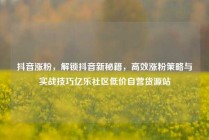 抖音涨粉，解锁抖音新秘籍，高效涨粉策略与实战技巧亿乐社区低价自营货源站