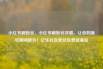 小红书刷粉丝，小红书刷粉丝攻略，让你的账号瞬间飙升！亿乐社区低价自营货源站