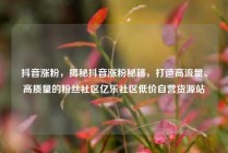抖音涨粉，揭秘抖音涨粉秘籍，打造高流量、高质量的粉丝社区亿乐社区低价自营货源站