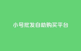 cf小号批发自助购买平台,抖音业务代理平台 - 快手点赞1元100个赞wx支付 - 巨量千川推广官网登录