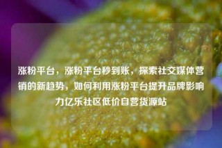 涨粉平台，涨粉平台秒到账，探索社交媒体营销的新趋势，如何利用涨粉平台提升品牌影响力亿乐社区低价自营货源站