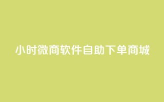 24小时微商软件自助下单商城 - 24小时自助下单微商商城软件推荐！