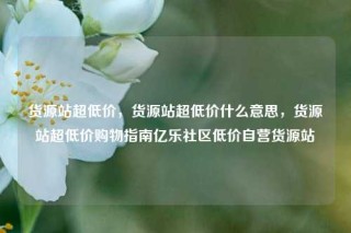 货源站超低价，货源站超低价什么意思，货源站超低价购物指南亿乐社区低价自营货源站