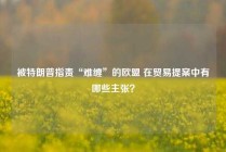 被特朗普指责“难缠”的欧盟 在贸易提案中有哪些主张？