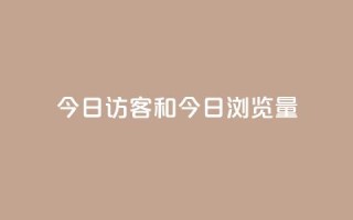 今日访客和今日浏览量 - 今日访问人数与页面浏览统计分析~