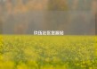 玖伍社区货源站