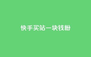 快手买站一块钱1000粉,快手播放量推送软件 - 空间人气精灵手机版 - 粉丝平台代理