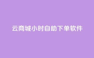 qq云商城24小时自助下单软件 - 高效便捷的全天候自助下单软件~