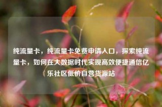 纯流量卡，纯流量卡免费申请入口，探索纯流量卡，如何在大数据时代实现高效便捷通信亿乐社区低价自营货源站