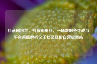 抖音刷粉丝，抖音刷粉丝，一场数据争夺战与平台策略解析亿乐社区低价自营货源站