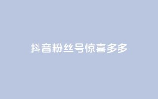 抖音粉丝号 惊喜多多.cn - 抖音粉丝号「惊喜多多.cn」：获取更多惊喜，打造火爆抖音粉丝号~