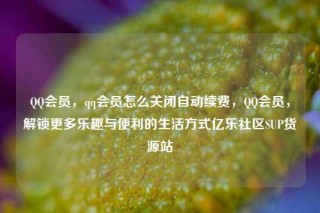 QQ会员，qq会员怎么关闭自动续费，QQ会员，解锁更多乐趣与便利的生活方式亿乐社区SUP货源站