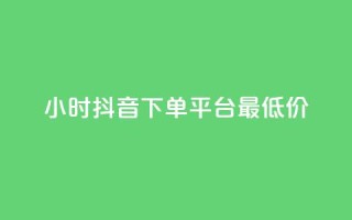 24小时抖音下单平台最低价 - 最便宜的24小时抖音下单平台~