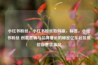 小红书粉丝，小红书粉丝如何涨，标签，小红书粉丝 创意营销与品牌增长的秘密亿乐社区低价自营货源站