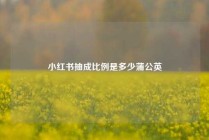 小红书抽成比例是多少蒲公英