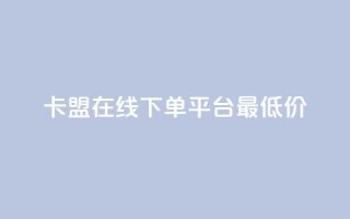 卡盟在线下单平台最低价 - 最低价在线下单平台推荐~