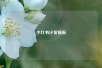 小红书评价模板
