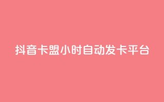 抖音卡盟24小时自动发卡平台,颜夕卡盟 - 全网辅助货源站 - 快手点赞评论软件微信支付