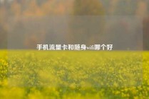 手机流量卡和随身wifi哪个好