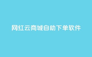 网红云商城自助下单软件 - 网红云商城自助下单软件：实现轻松购物，助你省钱又省心！~