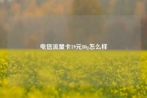 电信流量卡19元80g怎么样