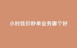24小时低价秒单业务哪个好,QQ秒赞网付费 - 说说赞自助 - 抖音粉丝