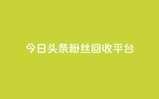 今日头条粉丝回收平台,ks推广自助网站 - 小龙秒赞网 - qq空间说说赞点赞在线平台