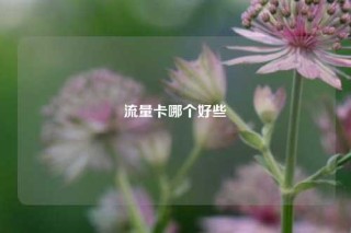 流量卡哪个好些