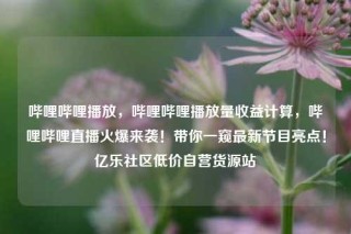 哔哩哔哩播放，哔哩哔哩播放量收益计算，哔哩哔哩直播火爆来袭！带你一窥最新节目亮点！亿乐社区低价自营货源站