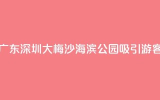 广东深圳：大梅沙海滨公园吸引游客