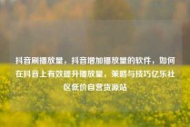 抖音刷播放量，抖音增加播放量的软件，如何在抖音上有效提升播放量，策略与技巧亿乐社区低价自营货源站