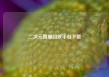 二次元直播回放平台下载