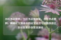 小红书点赞网，小红书点赞网址，小红书点赞网，揭秘社交媒体中的社交经济与价值创造亿乐社区低价自营货源站