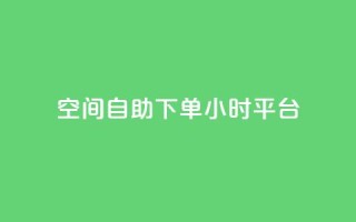 qq空间自助下单24小时平台,网红24小时下单助手 - 王者科技自助平台 - 快手涨热度app