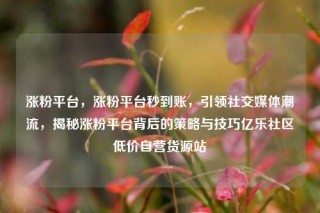 涨粉平台，涨粉平台秒到账，引领社交媒体潮流，揭秘涨粉平台背后的策略与技巧亿乐社区低价自营货源站