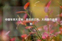 中国车市大变局：游击战已死，大兵团作战开始
