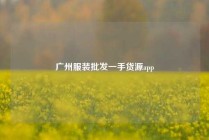 广州服装批发一手货源app