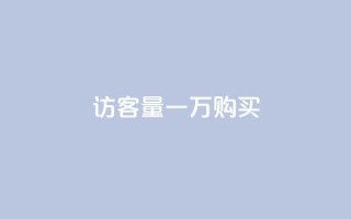 qq访客量一万购买 - dy刷全网最低价